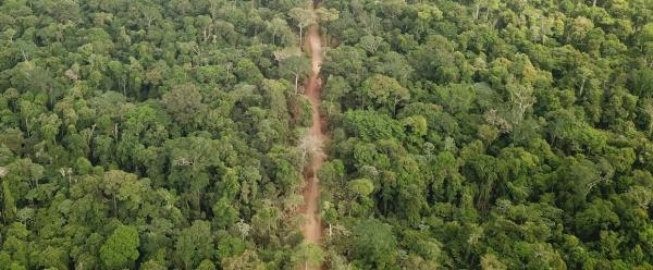 Building roads in forests often degrades ecosystems and renders them more fragile. To prevent this, sustainable logging concessions inventory the tree species to avoid and take pains to map the area concerned © C. Bourgoin, CIRAD
